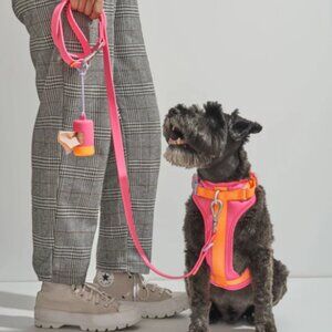 Wild One Dog Harness & Leash Pink/Orange Limitied Edition